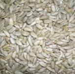 http://www.germes-online.com/direct/dbimage/50240834/Sunflower_Seed_Kernels.jpg